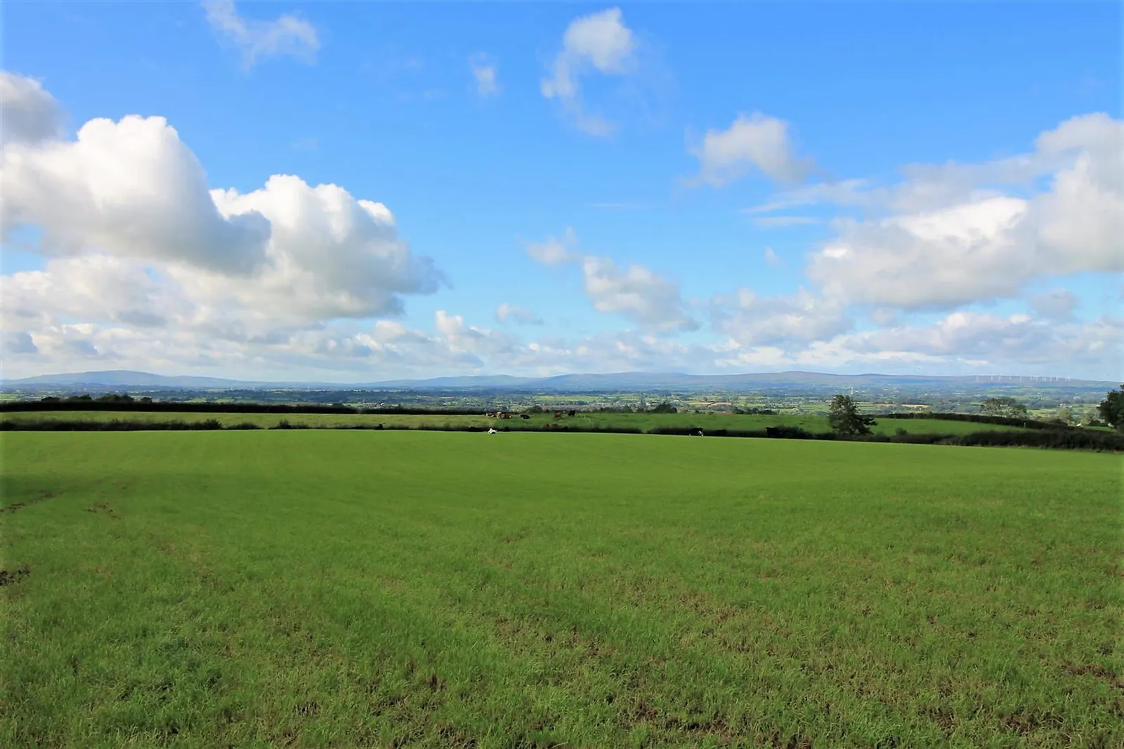 development site for sale at Building Site Adjacent To 33 Maboy Road Ballymena BT44 8HG