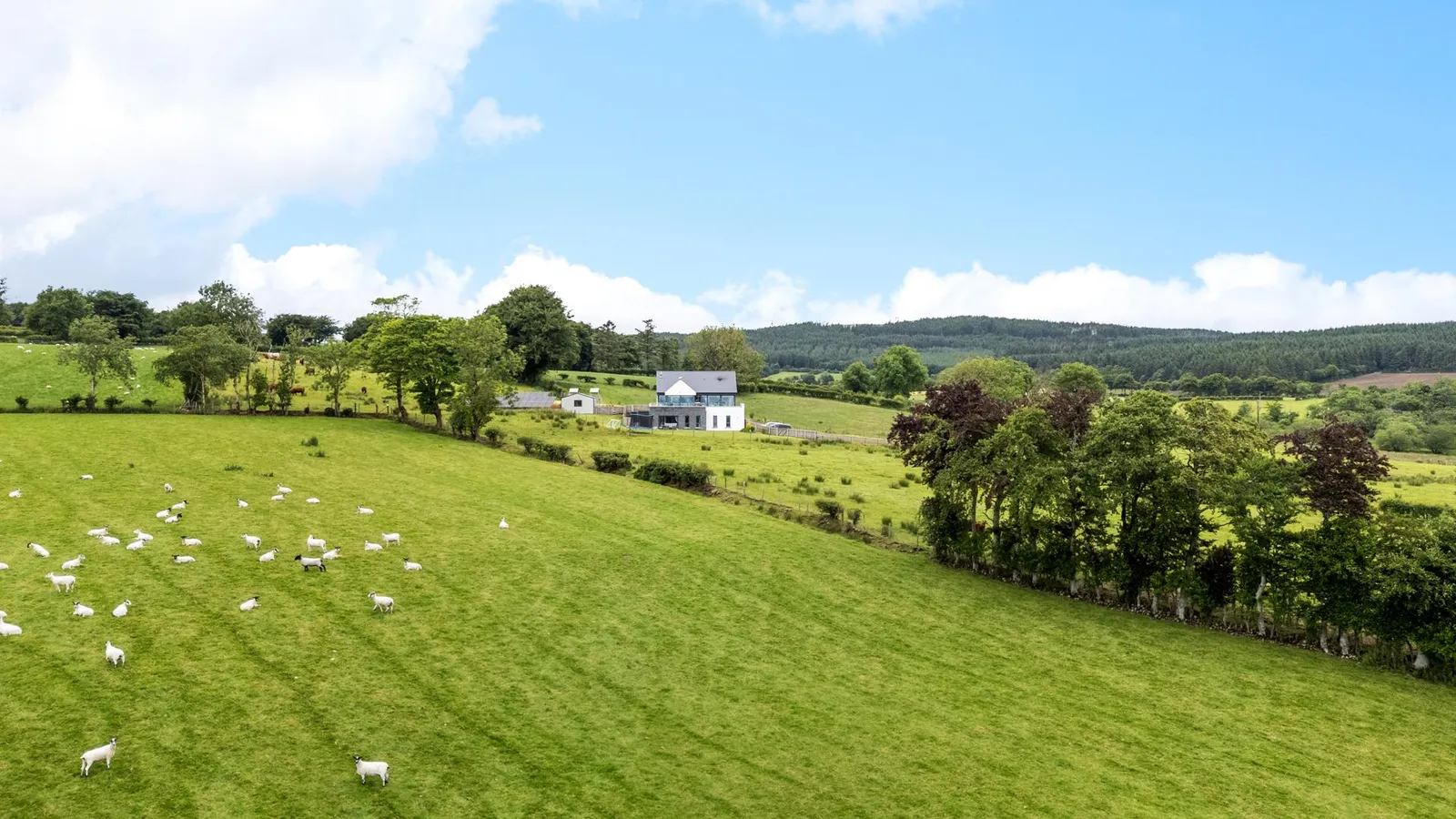 5 bedroom detached for sale at 12 Old Ballynoe Road Antrim BT41 2QZ